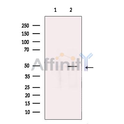 Валидация Affinity DF13516 - 8921
