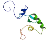 Zinc Finger Protein 474 (ZNF474)