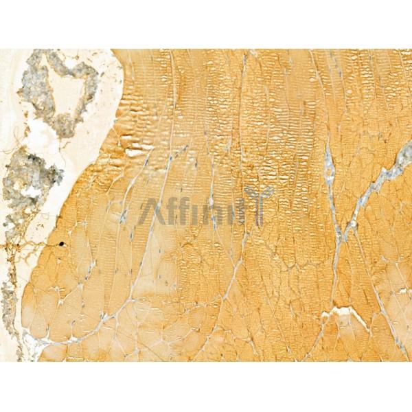 Валидация Affinity DF12242 - 6552