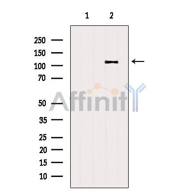 Валидация Affinity AF5113 - 2474