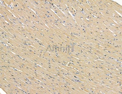 Валидация Affinity DF9490 - 22104