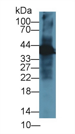 13416