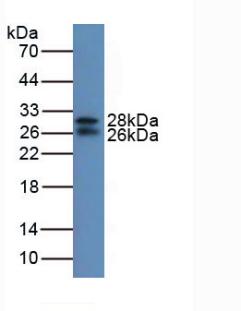 5661