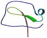 WAP Four Disulfide Core Domain Protein 1 (WFDC1)