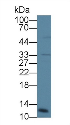 8902