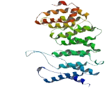 Protein Phosphatase 2, Regulatory Subunit B" Alpha (PPP2R5a)
