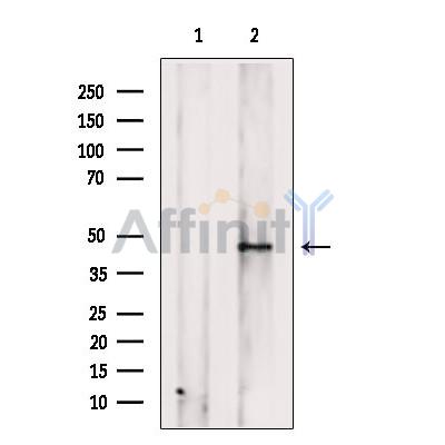 Валидация Affinity DF2852 - 13616