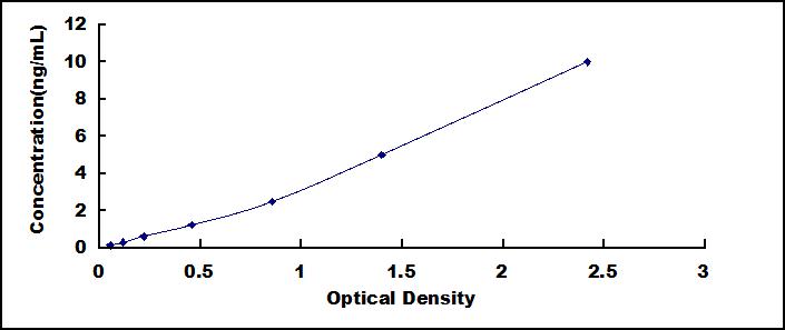 65066