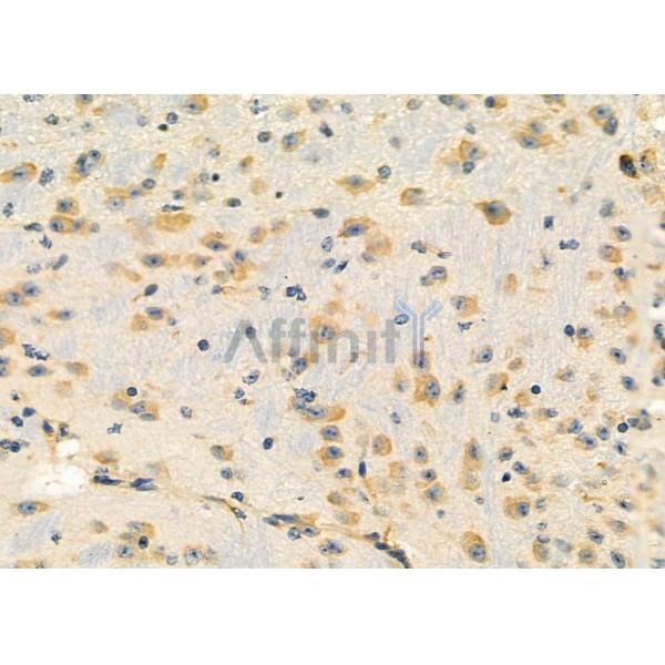 Валидация Affinity DF3711 - 14756