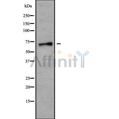 Валидация Affinity DF9925 - 22912