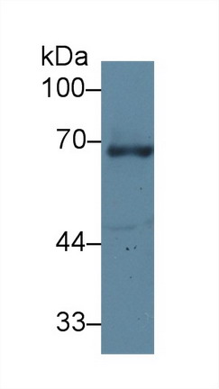 10048
