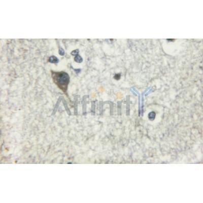 Валидация Affinity AF6276 - 3529