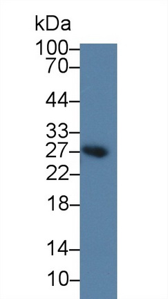 9403