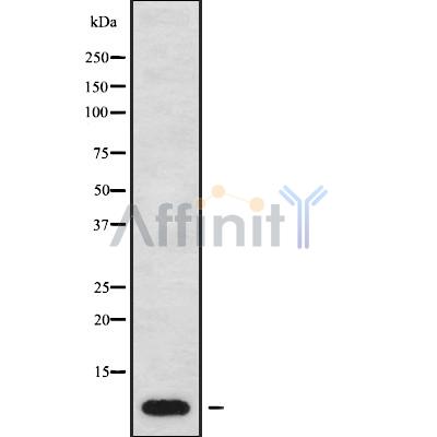 Валидация Affinity DF9238 - 21659