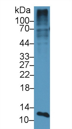 8661
