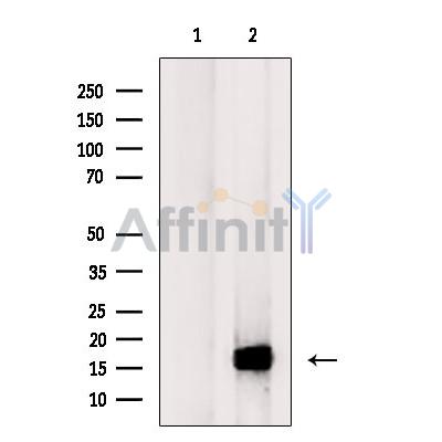 Валидация Affinity DF2384 - 12972