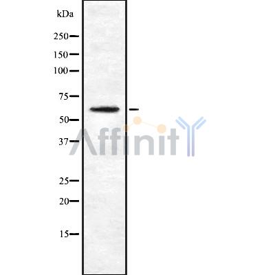 Валидация Affinity DF8821 - 20881