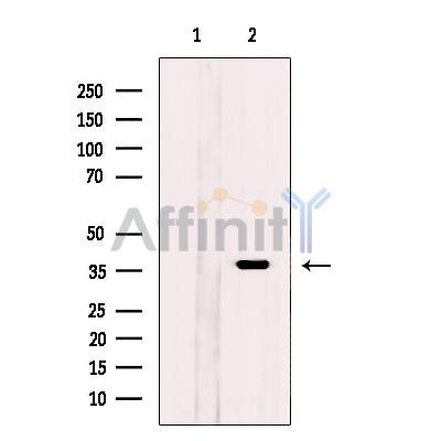 Валидация Affinity DF12414 - 6912