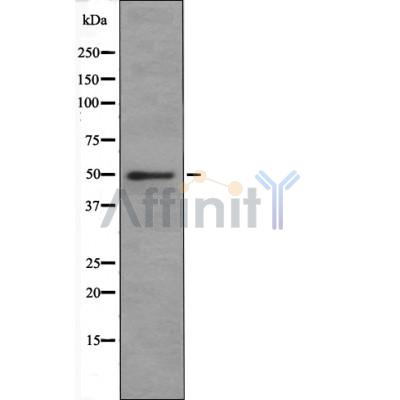 Валидация Affinity AF6610 - 3908