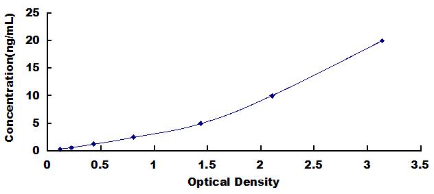 51073