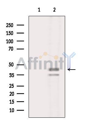Валидация Affinity DF16025 - 12571