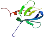 General Transcription Factor IIH, Polypeptide 1 (GTF2H1)