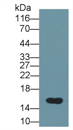 13230