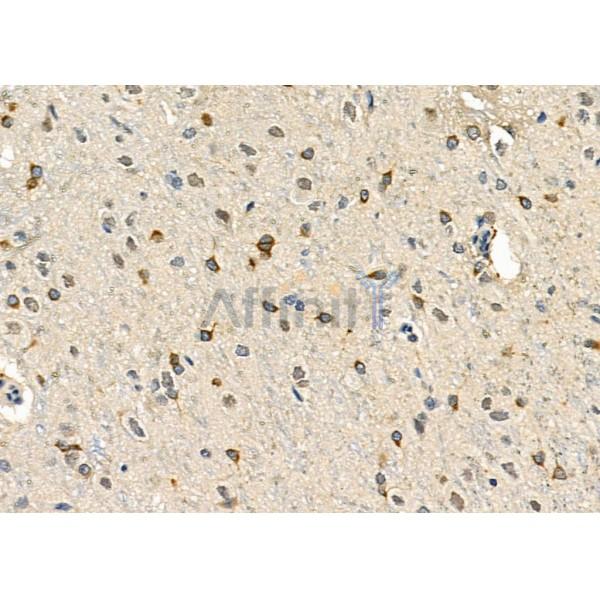 Валидация Affinity DF2466 - 13101