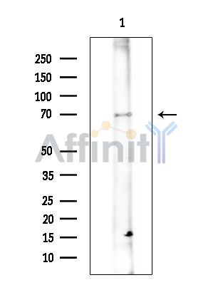 Валидация Affinity DF14310 - 10200