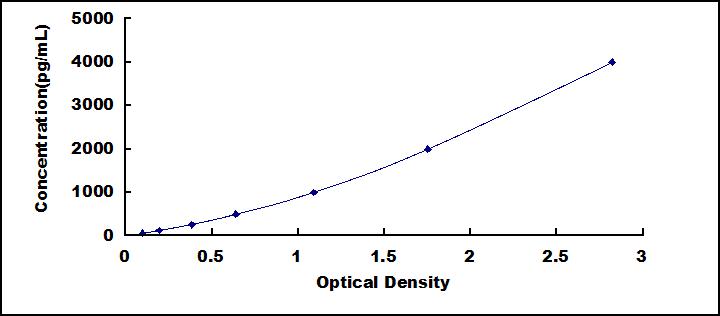 61703