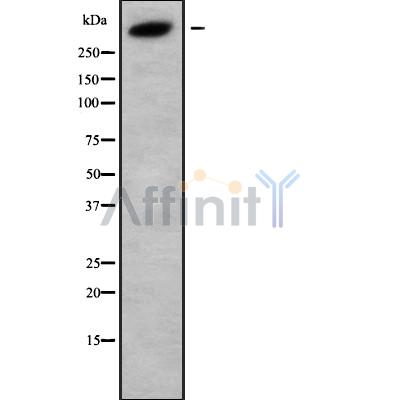 Валидация Affinity DF10089 - 5579