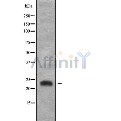 Валидация Affinity DF9849 - 22760
