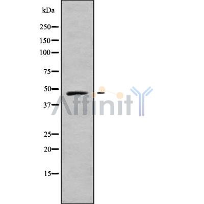 Валидация Affinity DF9108 - 21413