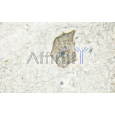 Валидация Affinity AF6461 - 3784