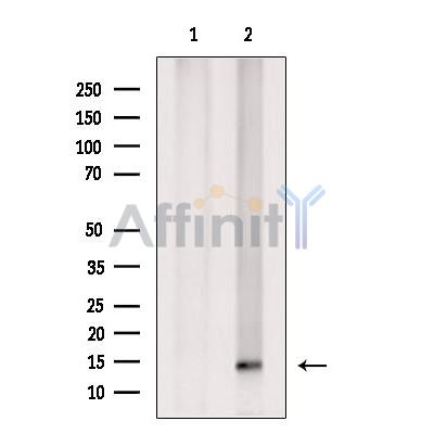 Валидация Affinity DF7186 - 18845