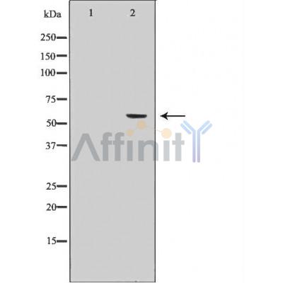 Валидация Affinity AF5225 - 2696