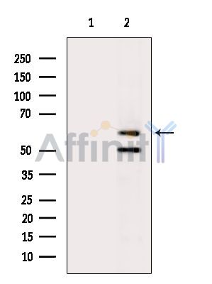 Валидация Affinity DF16067 - 12623
