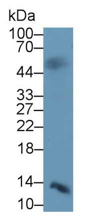 39370