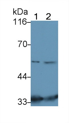 23588