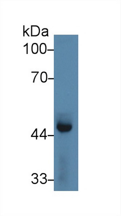 14234