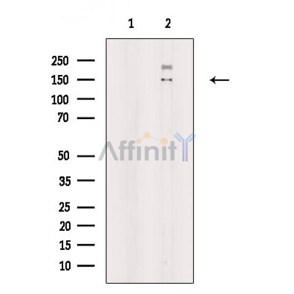 Валидация Affinity DF8468 - 20346