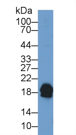 13392