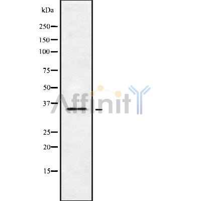 Валидация Affinity DF8700 - 20687