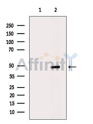 Валидация Affinity DF16105 - 12685