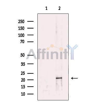 Валидация Affinity DF12309 - 6691