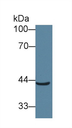 12835