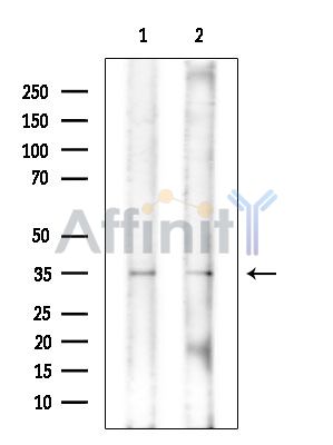 Валидация Affinity DF14123 - 9918