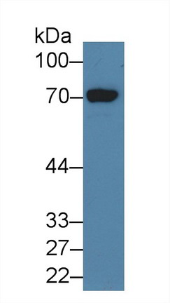10145
