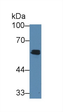 12819
