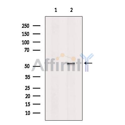 Валидация Affinity DF13262 - 8346
